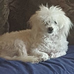 Meet your Posher, Claudette